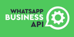 whatsapp business api